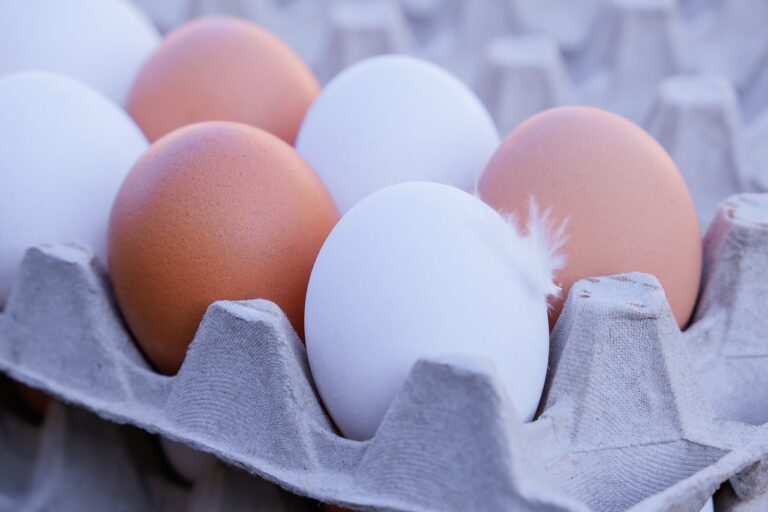 Food Industry and Innovations in Culinary Arts