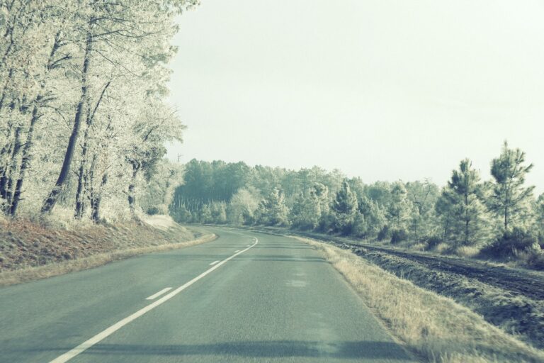 Tips for Preventing and Addressing Windshield Chips and Cracks: 99 exch sign up, Lotus 365.io, Play exch.in