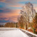 Tips for Maintaining Your Car’s Transmission Fluid: 11xplay reddy login registration, Reddy anna whatsapp number, Golden7777